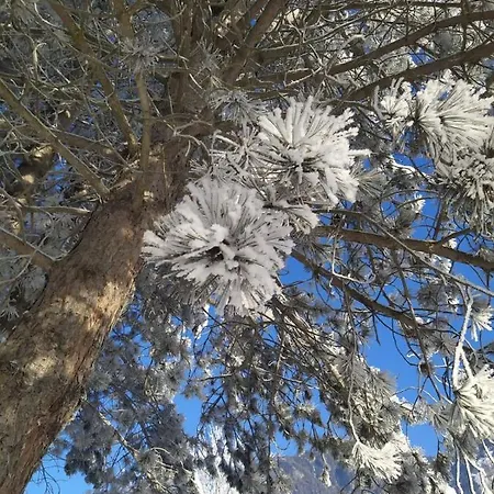 Alpenblick Gastein - Inklusive Eintritt Alpentherme Апартаменты *